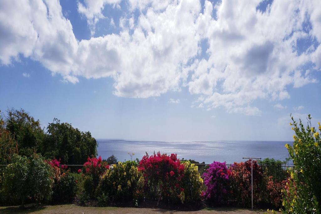 Spectacular Ocean View Retreat Apartment Saint James Exterior photo